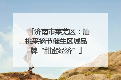 济南市莱芜区：油桃采摘节催生区域品牌“甜蜜经济”