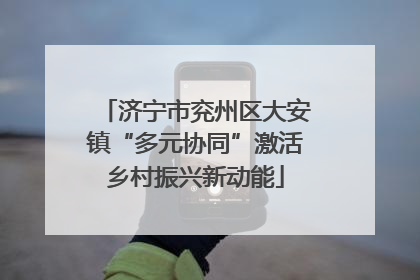 济宁市兖州区大安镇“多元协同”激活乡村振兴新动能