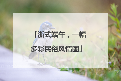 浙式端午，一幅多彩民俗风情图