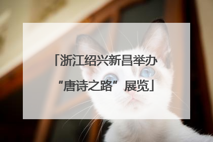 浙江绍兴新昌举办“唐诗之路”展览