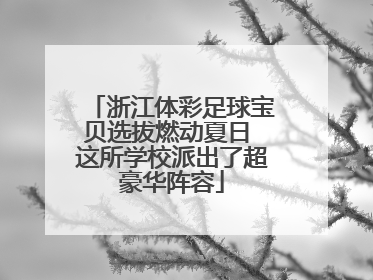 浙江体彩足球宝贝选拔燃动夏日 这所学校派出了超豪华阵容