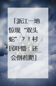 浙江一地惊现“双头蛇”？！村民吓懵：还会倒着爬