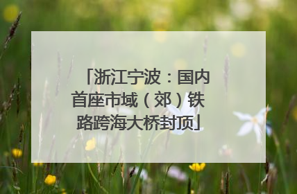 浙江宁波：国内首座市域（郊）铁路跨海大桥封顶