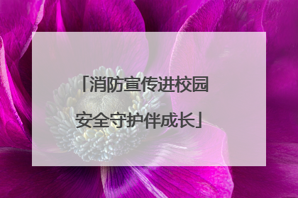 消防宣传进校园 安全守护伴成长
