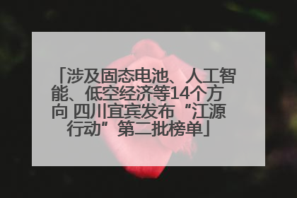 涉及固态电池、人工智能、低空经济等14个方向 四川宜宾发布“江源行动”第二批榜单
