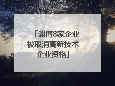 淄博8家企业被取消高新技术企业资格