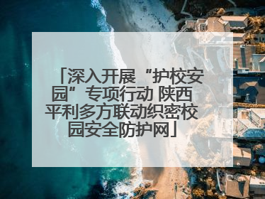 深入开展“护校安园”专项行动 陕西平利多方联动织密校园安全防护网