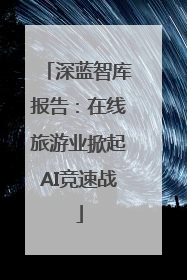 深蓝智库报告：在线旅游业掀起AI竞速战