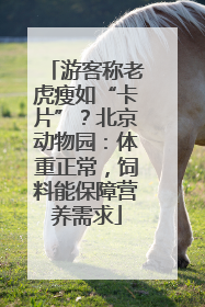 游客称老虎瘦如“卡片”？北京动物园：体重正常，饲料能保障营养需求