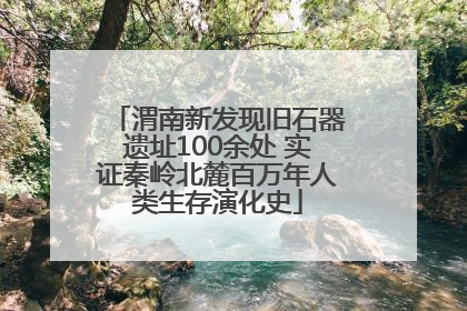 渭南新发现旧石器遗址100余处 实证秦岭北麓百万年人类生存演化史