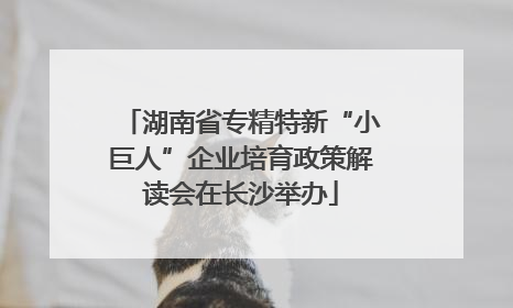 湖南省专精特新“小巨人”企业培育政策解读会在长沙举办