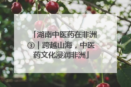 湖南中医药在非洲③｜跨越山海，中医药文化浸润非洲