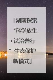 湖南探索“科学放生+法治善行”生态保护新模式