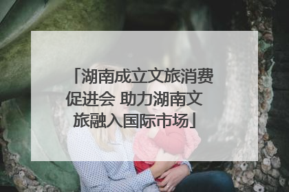 湖南成立文旅消费促进会 助力湖南文旅融入国际市场