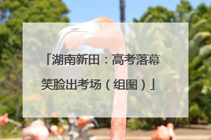 湖南新田：高考落幕 笑脸出考场（组图）
