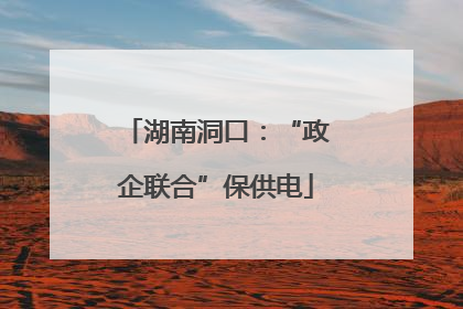 湖南洞口：“政企联合”保供电