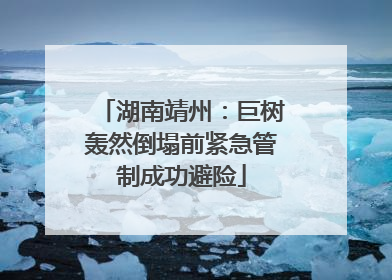 湖南靖州：巨树轰然倒塌前紧急管制成功避险