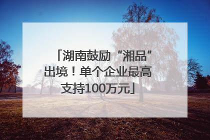湖南鼓励“湘品”出境！单个企业最高支持100万元