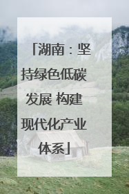 湖南：坚持绿色低碳发展 构建现代化产业体系
