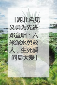 湖北省见义勇为先进邓章明：六米深水勇救人，生死瞬间显大爱
