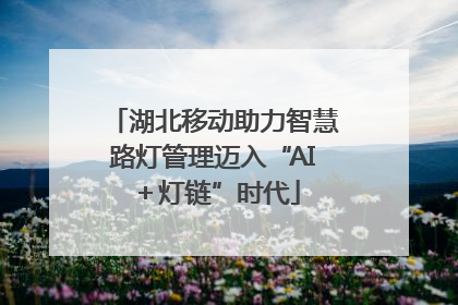 湖北移动助力智慧路灯管理迈入“AI＋灯链”时代