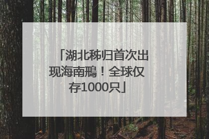 湖北秭归首次出现海南鳽！全球仅存1000只