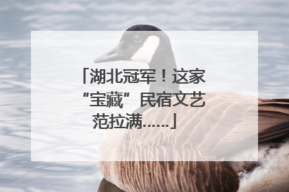 湖北冠军！这家“宝藏”民宿文艺范拉满……