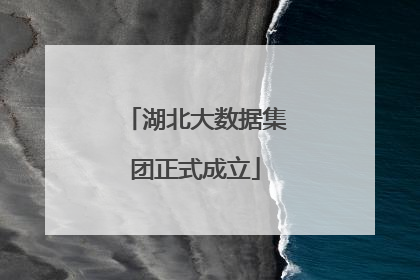 湖北大数据集团正式成立