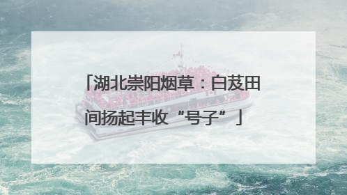湖北崇阳烟草：白芨田间扬起丰收“号子”
