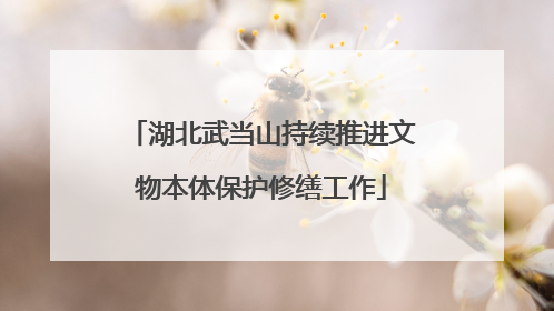 湖北武当山持续推进文物本体保护修缮工作