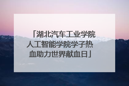 湖北汽车工业学院人工智能学院学子热血助力世界献血日