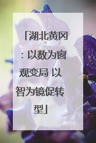 湖北黄冈：以数为窗观变局 以智为镜促转型