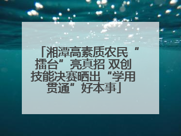 湘潭高素质农民“擂台”亮真招 双创技能决赛晒出“学用贯通”好本事