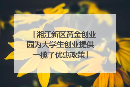 湘江新区黄金创业园为大学生创业提供一揽子优惠政策