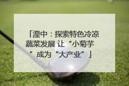 湟中：探索特色冷凉蔬菜发展 让“小菊芋”成为“大产业”