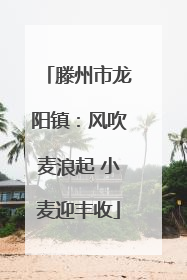 滕州市龙阳镇：风吹麦浪起 小麦迎丰收