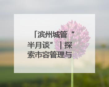 滨州城管“半月谈”｜探索市容管理与民生需求“双赢”新路径