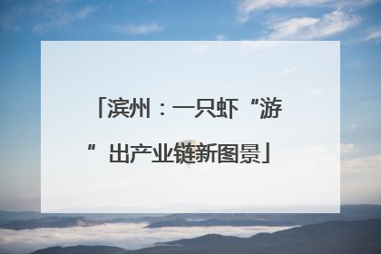滨州：一只虾“游”出产业链新图景