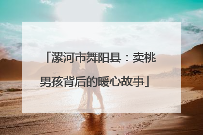 漯河市舞阳县：卖桃男孩背后的暖心故事