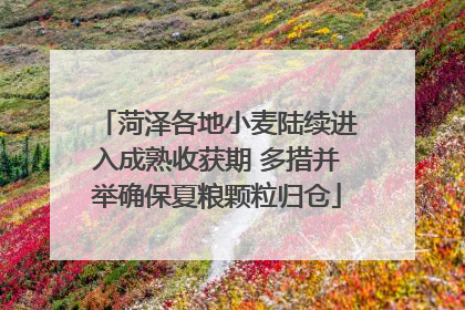 菏泽各地小麦陆续进入成熟收获期 多措并举确保夏粮颗粒归仓
