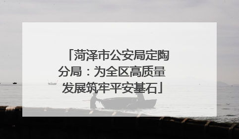 菏泽市公安局定陶分局：为全区高质量发展筑牢平安基石