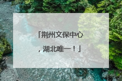 荆州文保中心，湖北唯一！
