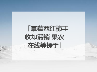 草莓西红柿丰收却滞销 果农在线等援手