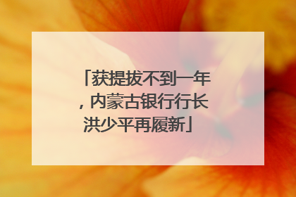 获提拔不到一年，内蒙古银行行长洪少平再履新