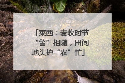 莱西：麦收时节“警”相随，田间地头护“农”忙