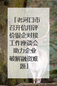 老河口市召开信用评价银企对接工作座谈会 助力企业破解融资难题