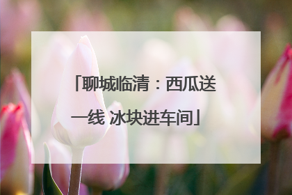聊城临清：西瓜送一线 冰块进车间