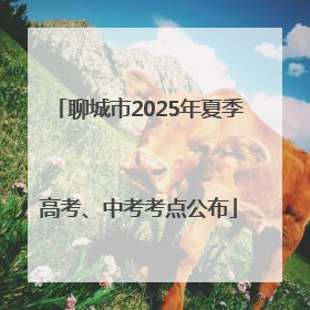 聊城市2025年夏季高考、中考考点公布