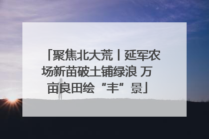 聚焦北大荒丨延军农场新苗破土铺绿浪 万亩良田绘“丰”景