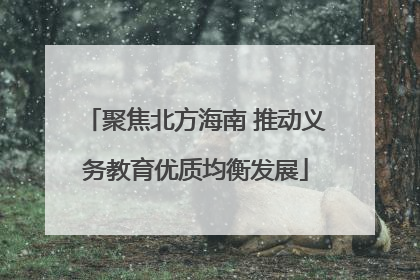 聚焦北方海南 推动义务教育优质均衡发展